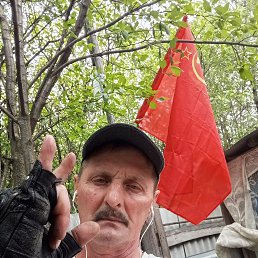 , 59, 