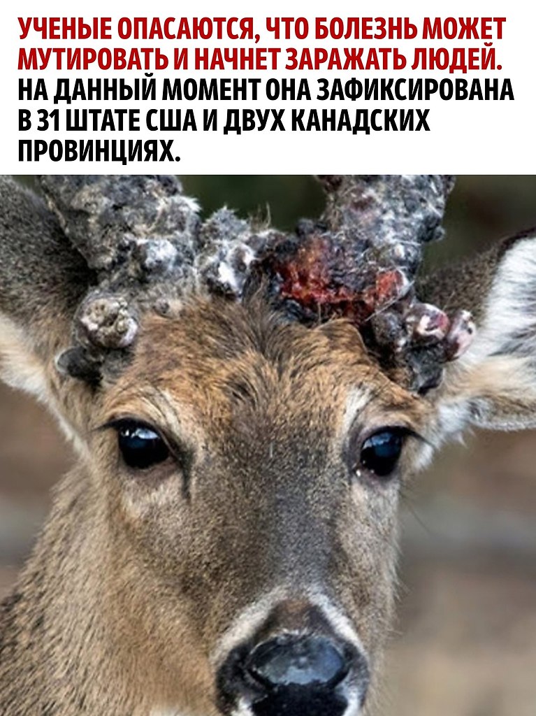     - 3