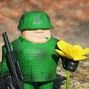 ���� ����, �����-���������, 55 ��� - ��������� 2 ���� 2024 � ������ ���� ����������