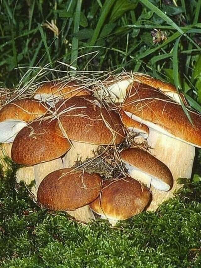 ,  !