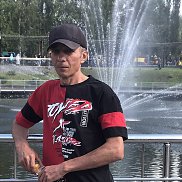 , 43 , 