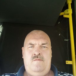 , 55,  
