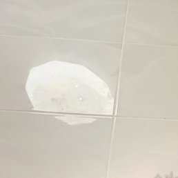 �������, ���������, 48 ���