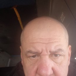 ������, 46 ���, ���������