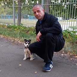 ������, ���������� �����, 49 ���