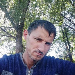 �����, ������, 40 ���