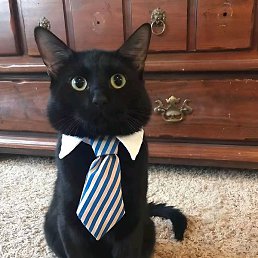 �������, �������