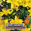 ���� �����, �������, 53 ���� - ��������� 23 ������� 2026