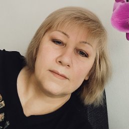, 58, 