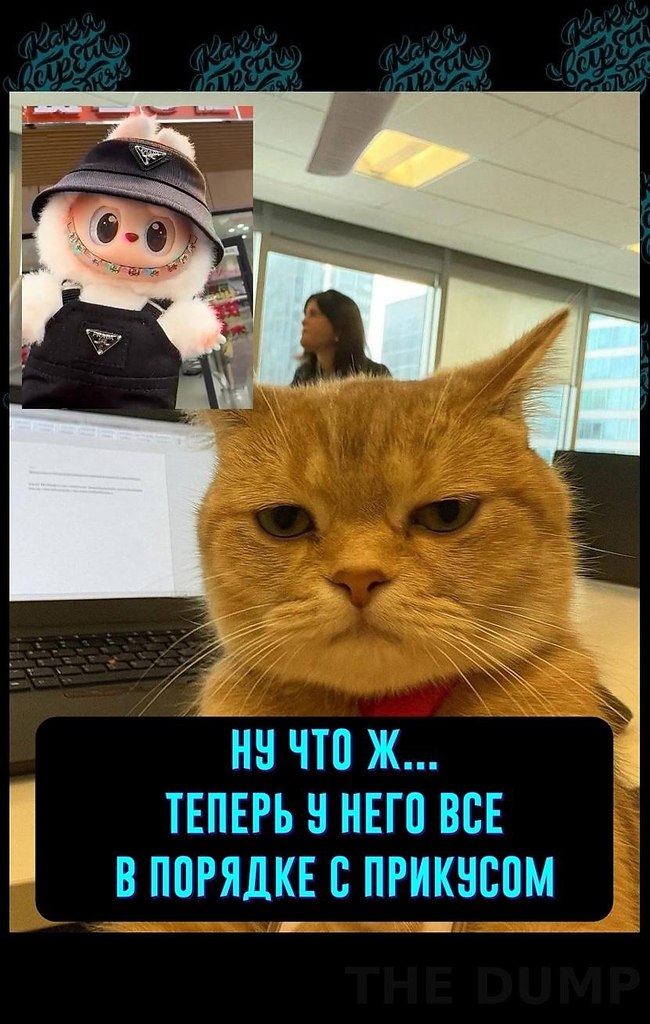 y e ae e e pa a coaooa, a o pya pee ycaaa. Co-o ... - 2