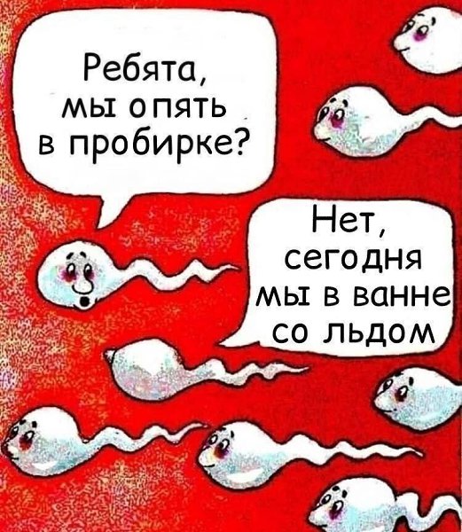 Павла Дурова начали высмеивать в социальных сетях после заявления его отца, основателя ВКонтакте и ... - 5