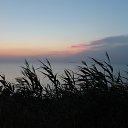 ���� �����, �������� ����, 49 ��� - ��������� 2 ������ 2024 � ������ ���� ����������