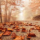  Art, , 44  -  10  2023    