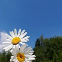 ���� �������@, �������� - ��������� 8 ������� 2026 � ������ ������ ��������