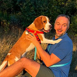 ���� �������, ������, 38 ��� - ��������� 6 ������ 2026