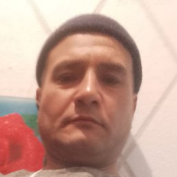 ������, �������, 45 ���