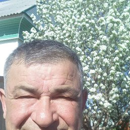 , 59, 
