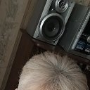 ���� �������, ������� - ��������� 4 ���� 2026