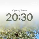 ���� ���������., �������, 51 ��� - ��������� 20 ��� 2025 � ������ ���� ����������