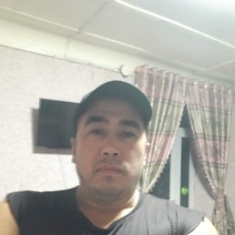 , 33, -