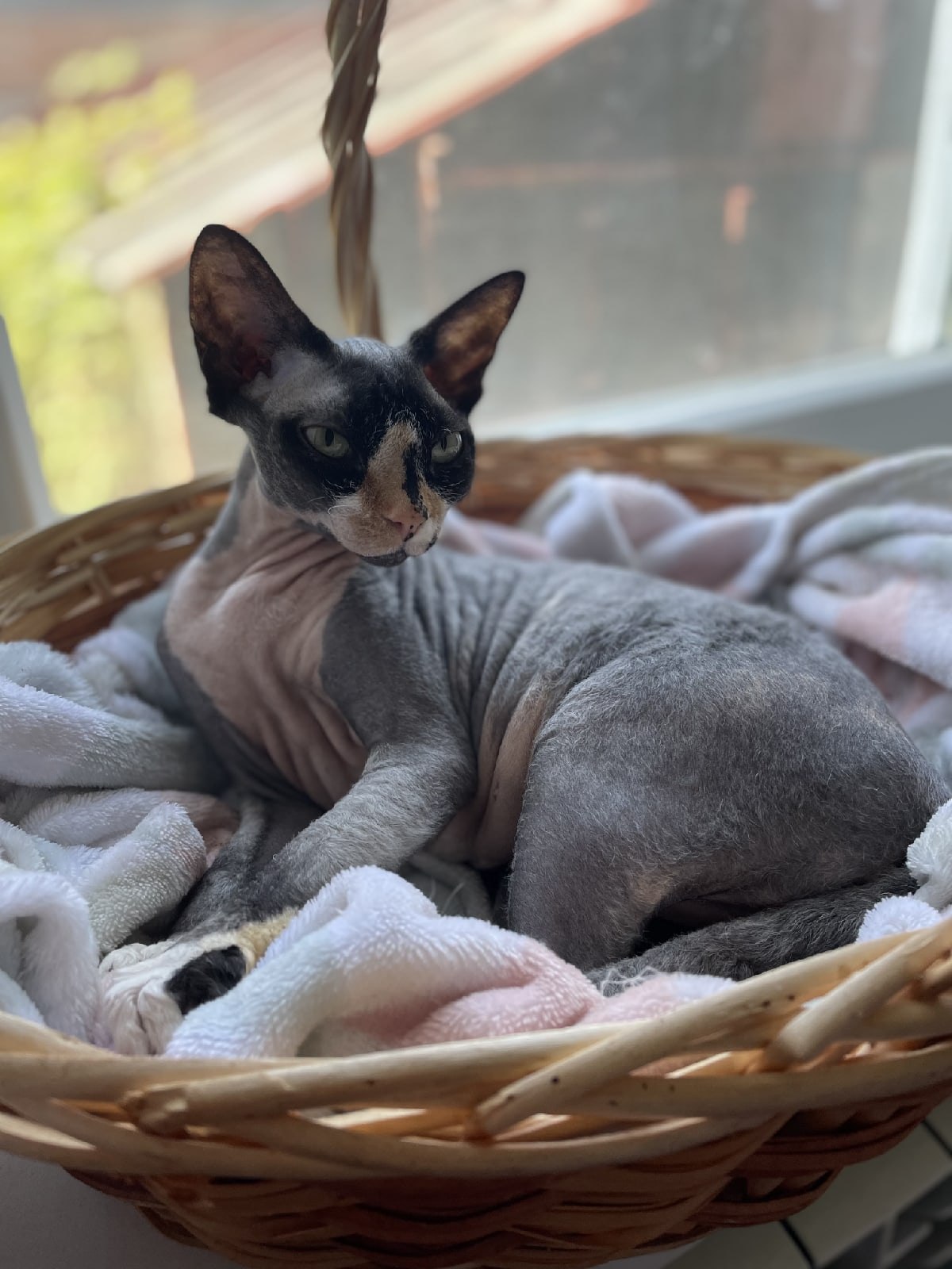 **** - 13  2025  11:45