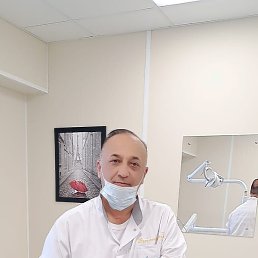 �����, ��������, 46 ���