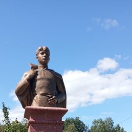 , 51, 