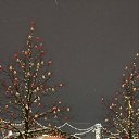 ���� �������, ������ - ��������� 22 ������� 2026 � ������ �2026�