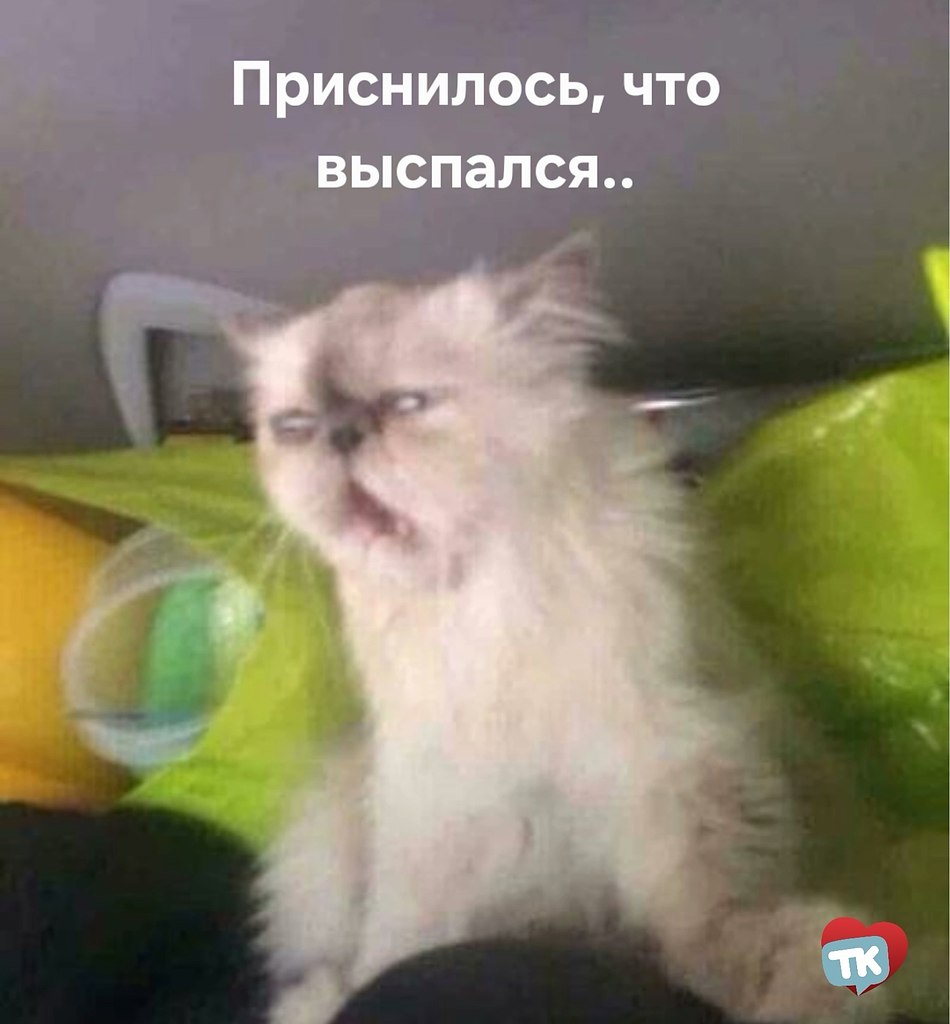  , .   ,      0, +2 ...