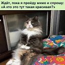 ���� ��������, �������, 66 ��� - ��������� 24 ��� 2025 � ������ ������ ��������
