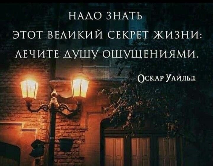   - 11  2024  13:06