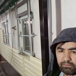 , 41, 