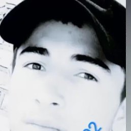 Maks, �����������, 20 ���