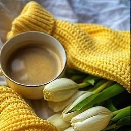 ����, ������