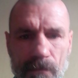  , 53, 
