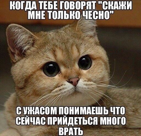 ? ,  ! - 14  2025  12:35