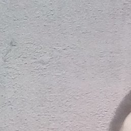 , , 51 