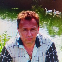 , 52 , 