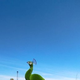 ���������, �����, 45 ���