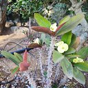 ���� �����, ������, 60 ��� - ��������� 20 ������ 2025 � ������ ���� ����������