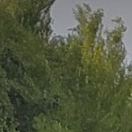 , , 62 
