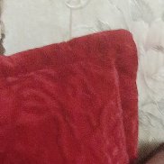 �������, 46 ���, ������