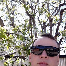 ���� ������, ����������, 40 ��� - ��������� 15 ����� 2026