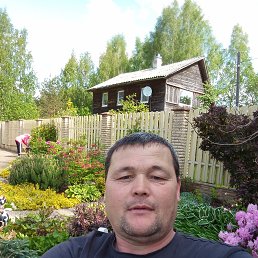 , 41, -