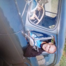 �����, ������, 49 ���