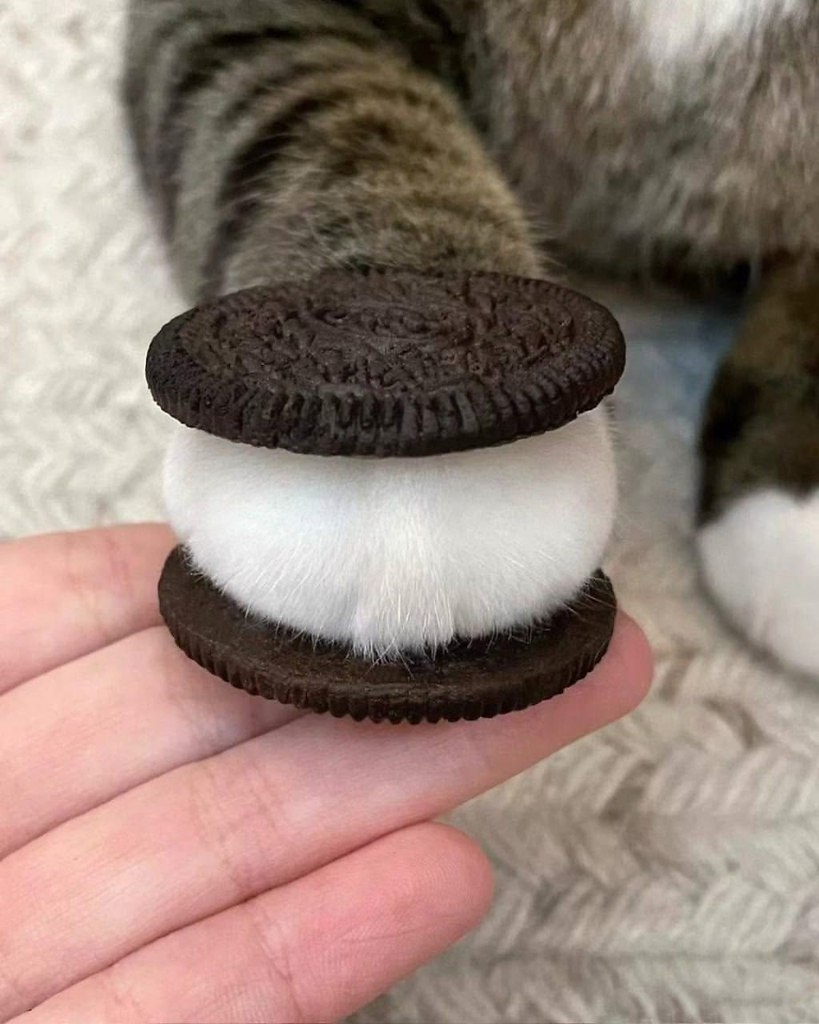 Oreo      