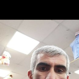 , 41, 