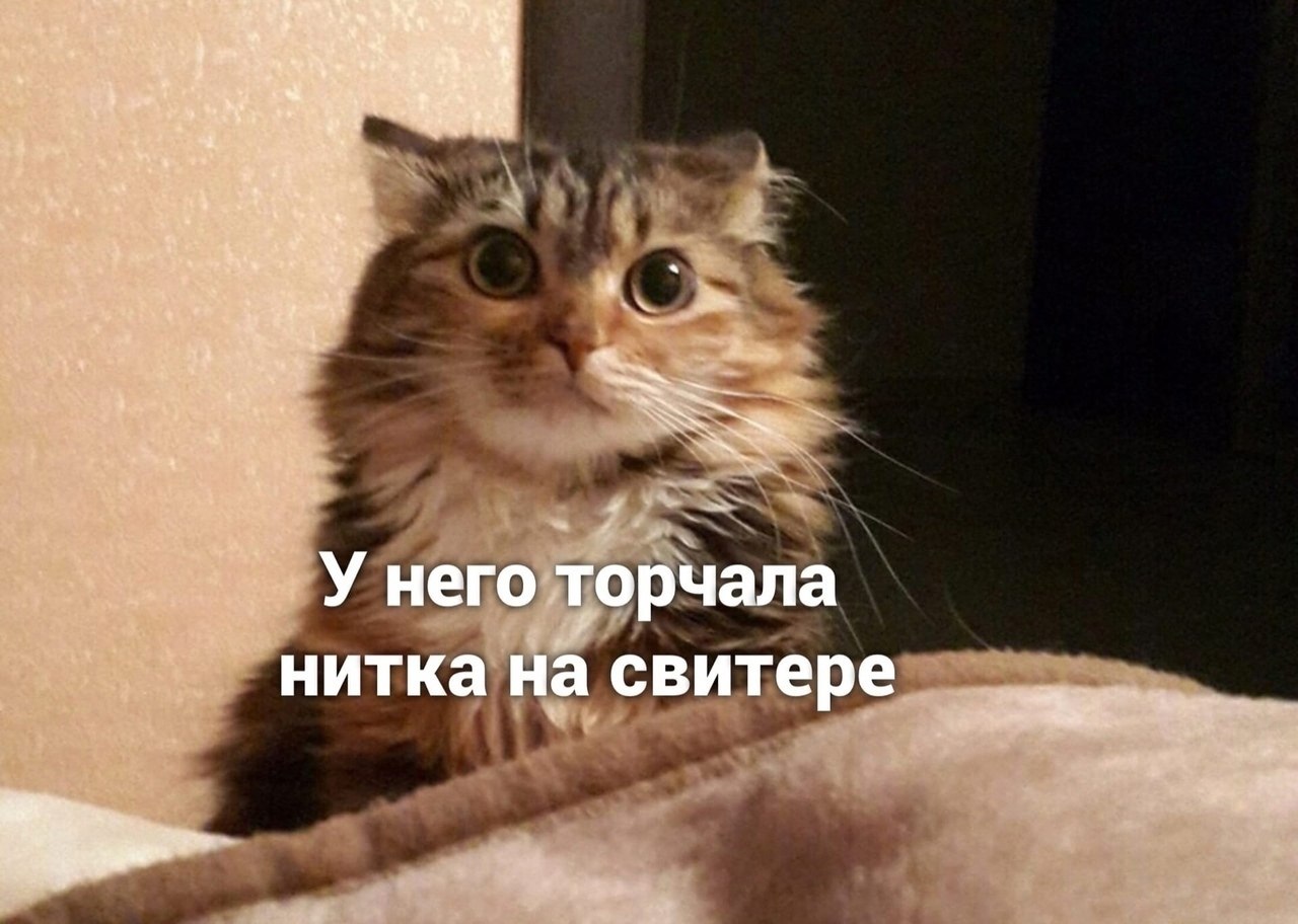 ��������� ������� - 2