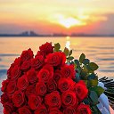 ���� ������, ������, 51 ��� - ��������� 18 ������ 2025 � ������ ���� ����������