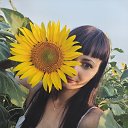 ���� �������, ������ - ��������� 2 ������ 2026 � ������ ���� ����������